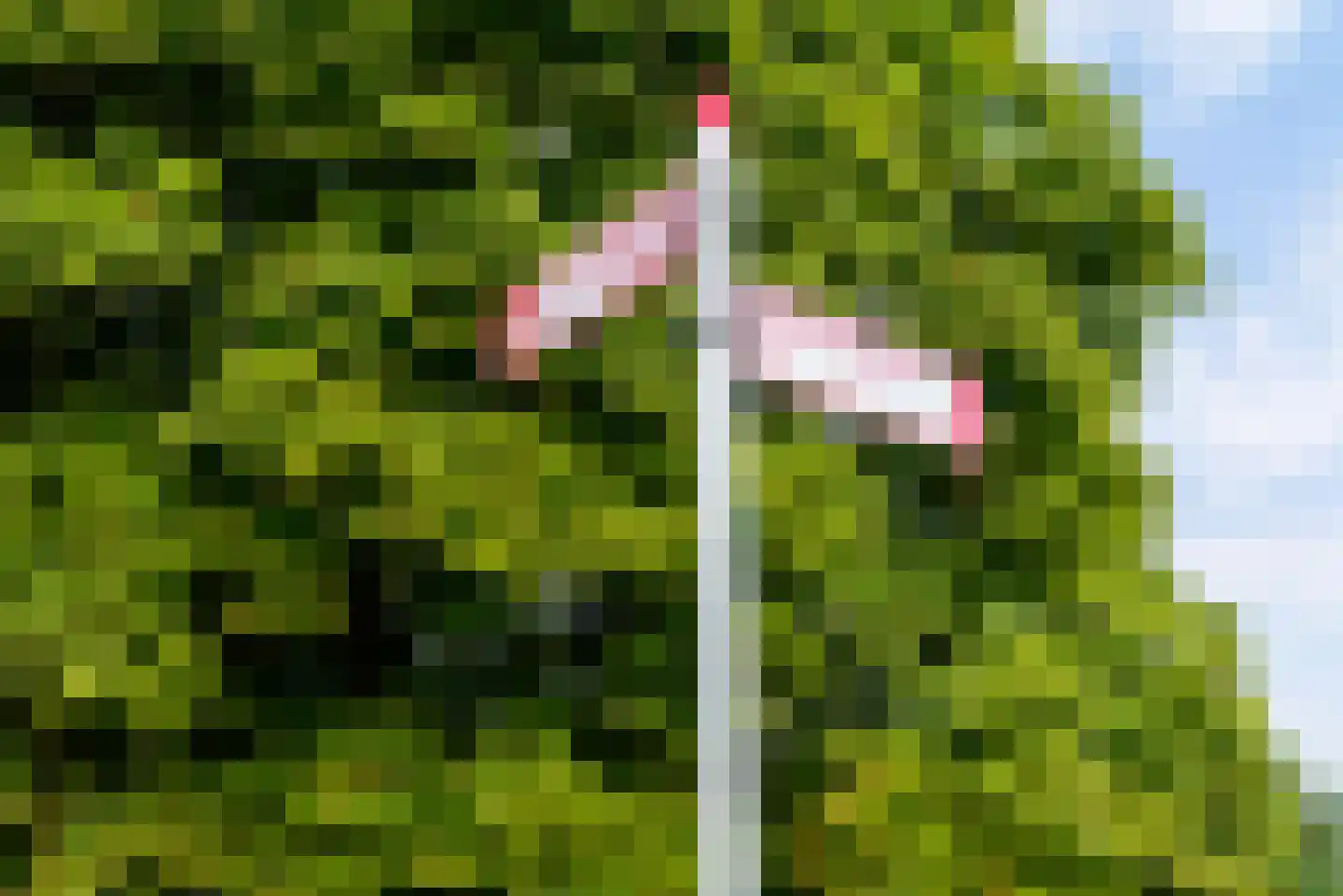 Uithof 15 Almere thumbnail 62