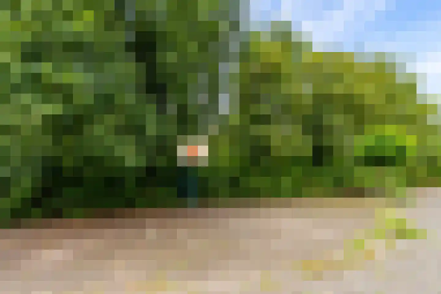 Uithof 15 Almere thumbnail 66