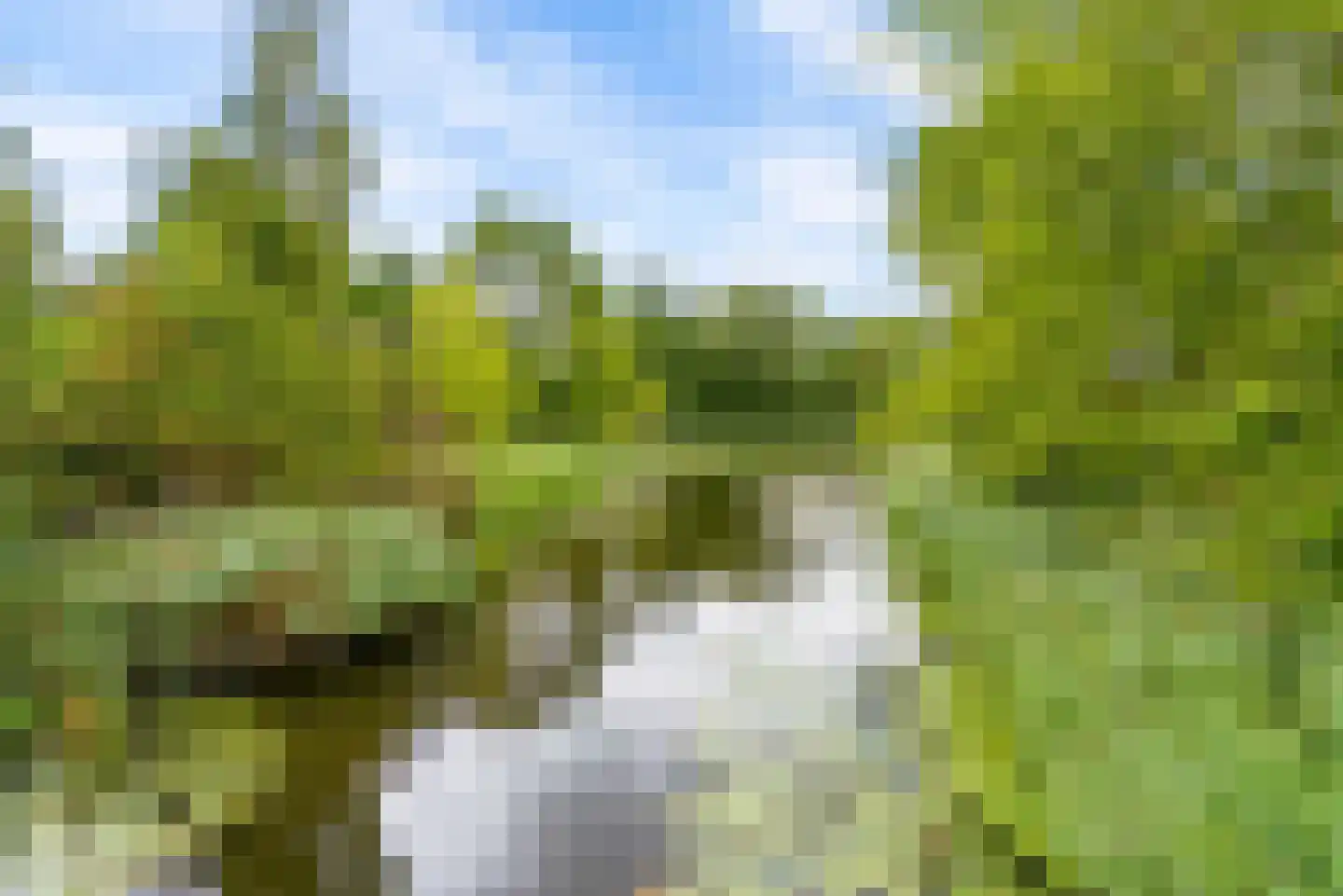 Uithof 15 Almere thumbnail 69