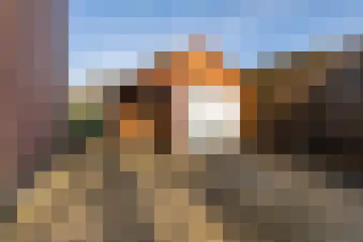 Uithof 15 Gerkesklooster thumbnail 10