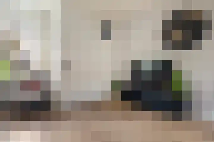 Uithof 15 Gerkesklooster thumbnail 12