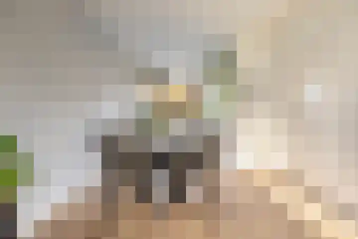 Uithof 15 Gerkesklooster thumbnail 15