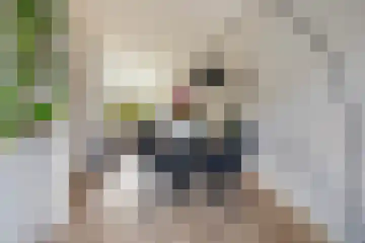 Uithof 15 Gerkesklooster thumbnail 16