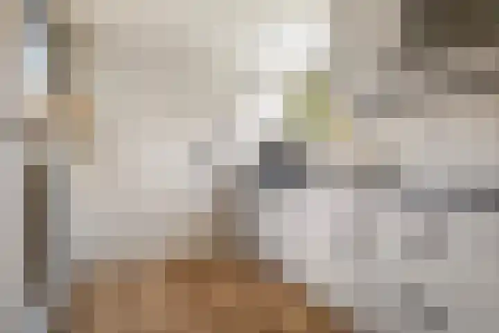 Uithof 15 Gerkesklooster thumbnail 19