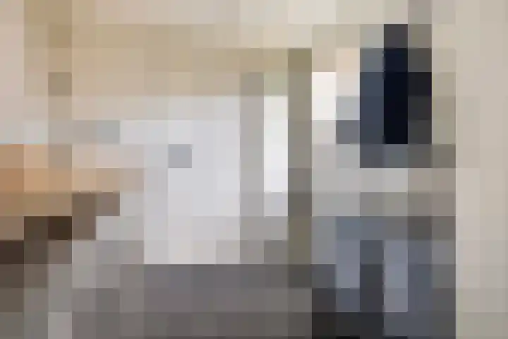 Uithof 15 Gerkesklooster thumbnail 20