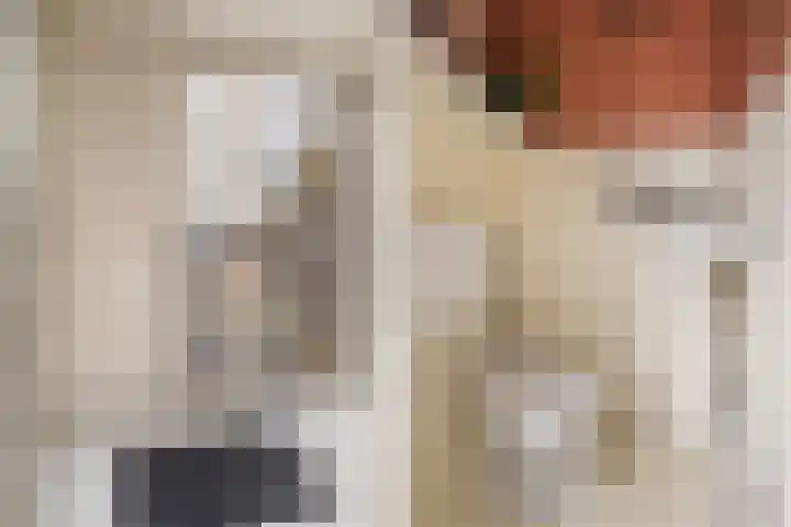 Uithof 15 Gerkesklooster thumbnail 22