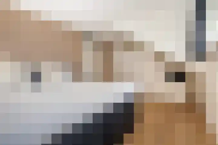 Uithof 15 Gerkesklooster thumbnail 26