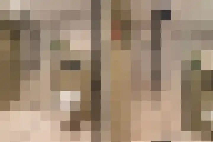 Uithof 15 Gerkesklooster thumbnail 30