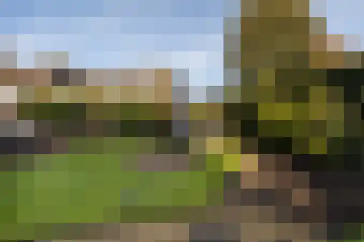 Uithof 15 Gerkesklooster thumbnail 32
