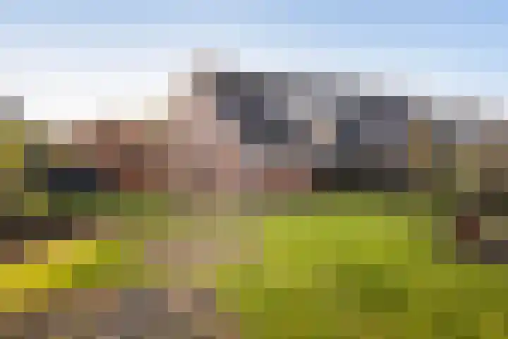 Uithof 15 Gerkesklooster thumbnail 34