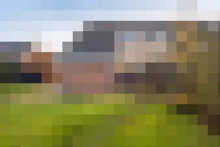 Uithof 15 Gerkesklooster thumbnail 35