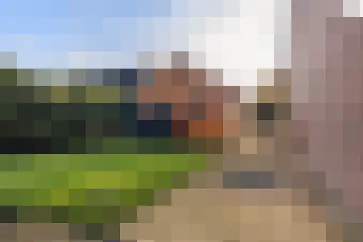 Uithof 15 Gerkesklooster thumbnail 37