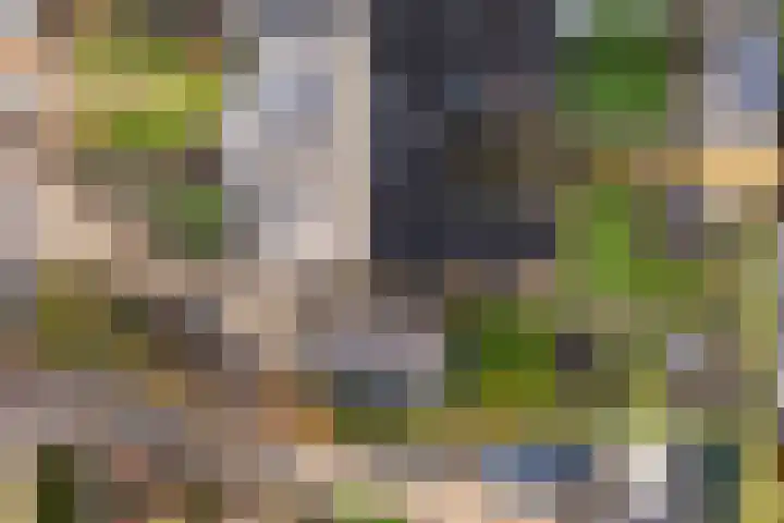 Uithof 15 Gerkesklooster thumbnail 38