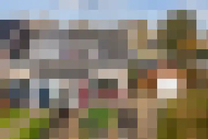 Uithof 15 Gerkesklooster thumbnail 6