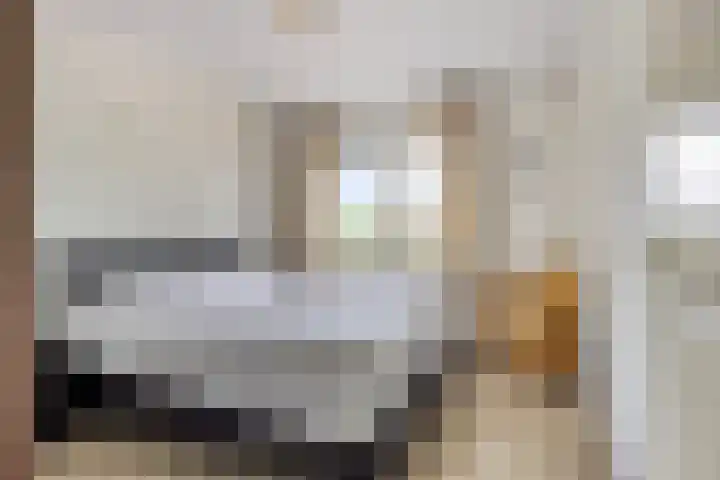 Uithof 16 Wijk en Aalburg thumbnail 22