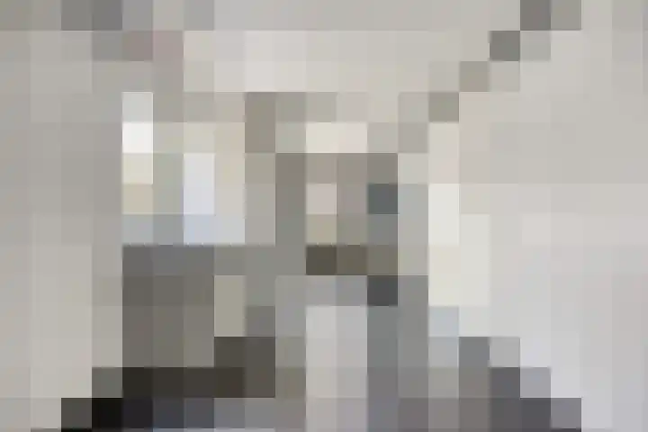 Uithof 16 Wijk en Aalburg thumbnail 33