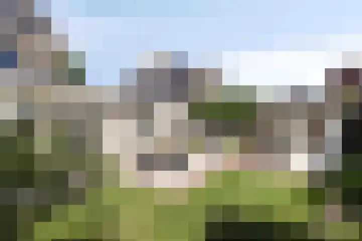 Uithof 16 Wijk en Aalburg thumbnail 36