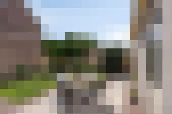 Uithof 16 Wijk en Aalburg thumbnail 37