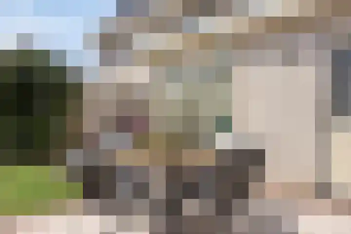 Uithof 16 Wijk en Aalburg thumbnail 38