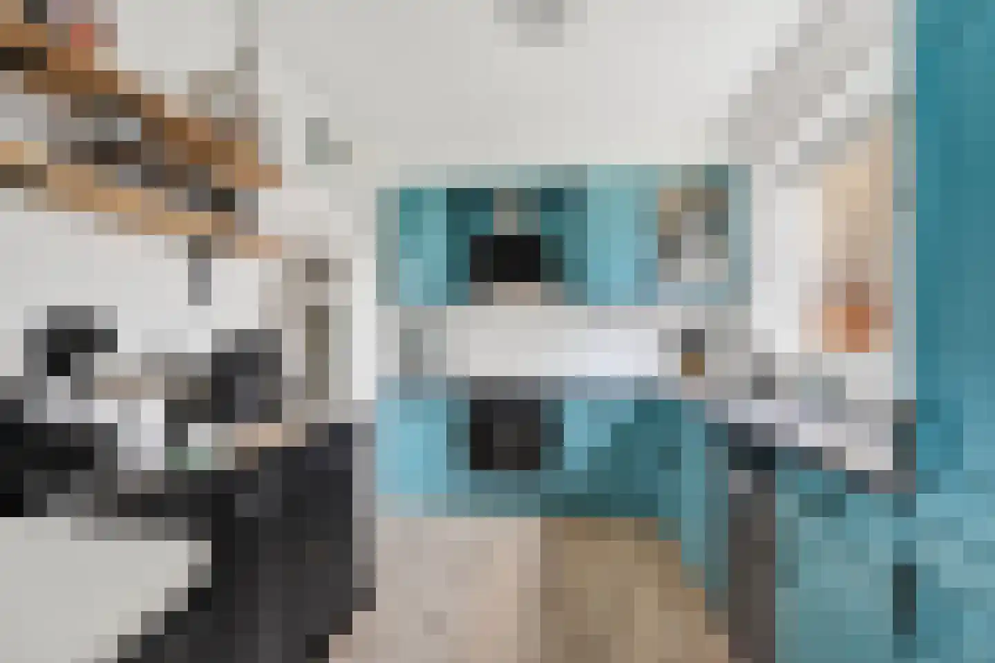Uithof 17 Schoonebeek thumbnail 15