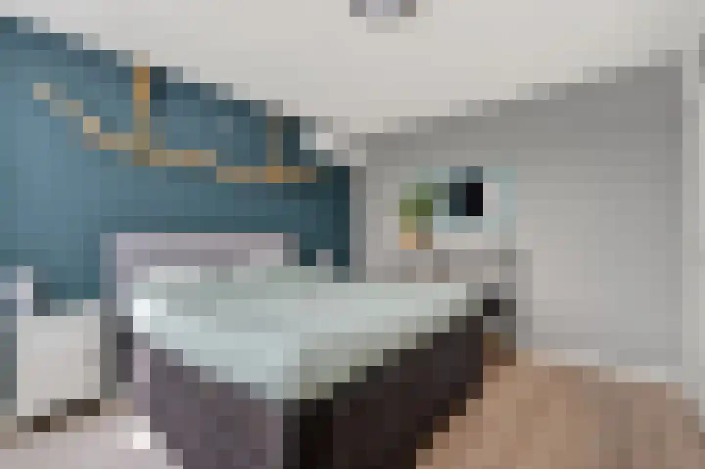 Uithof 17 Schoonebeek thumbnail 20