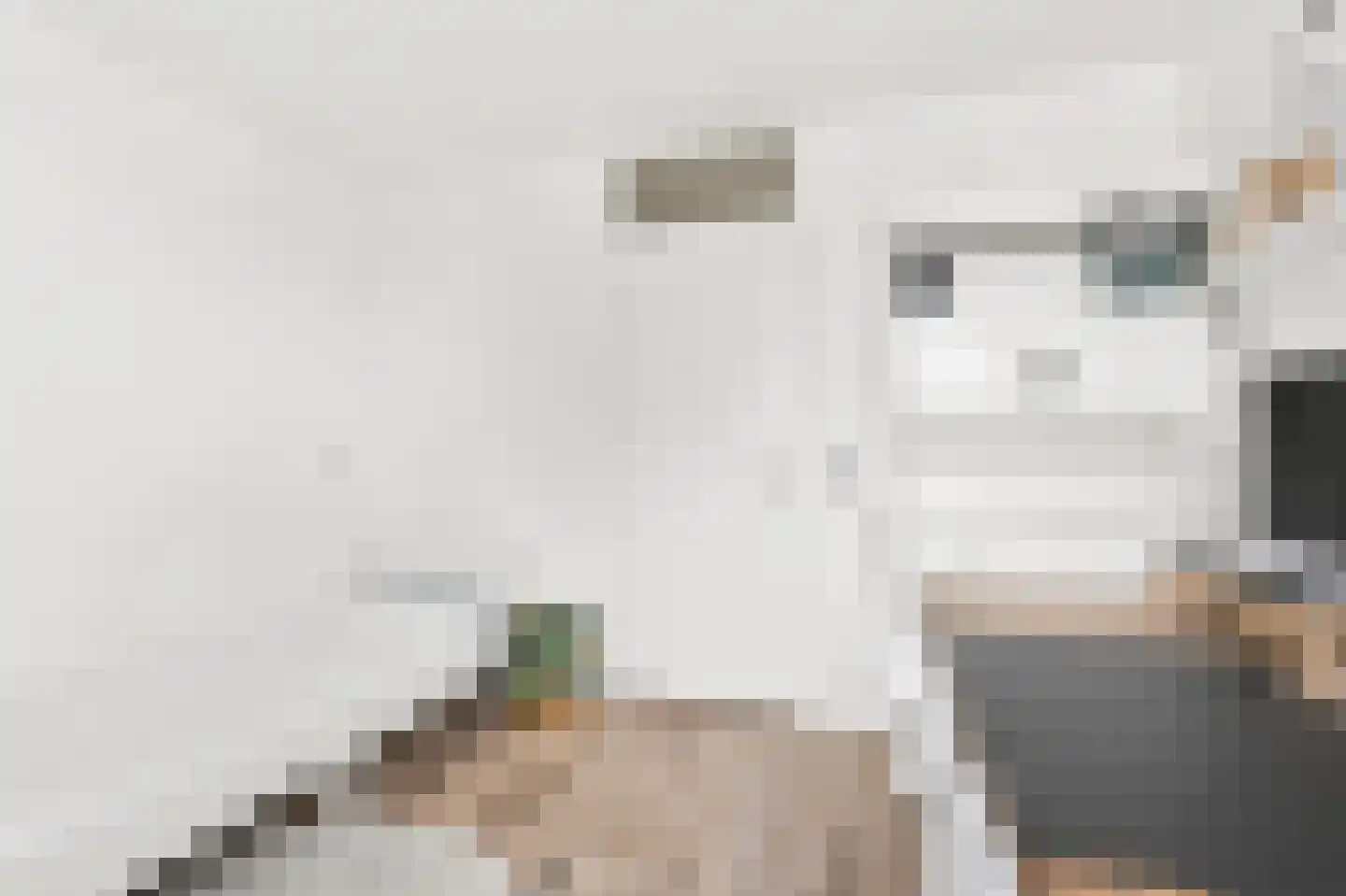 Uithof 17 Schoonebeek thumbnail 23