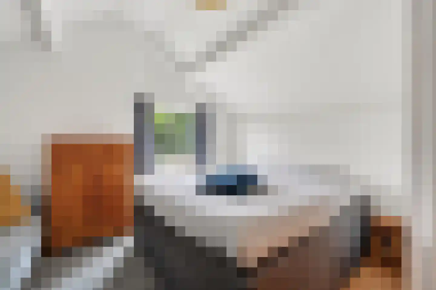 Uithof 17 Schoonebeek thumbnail 31