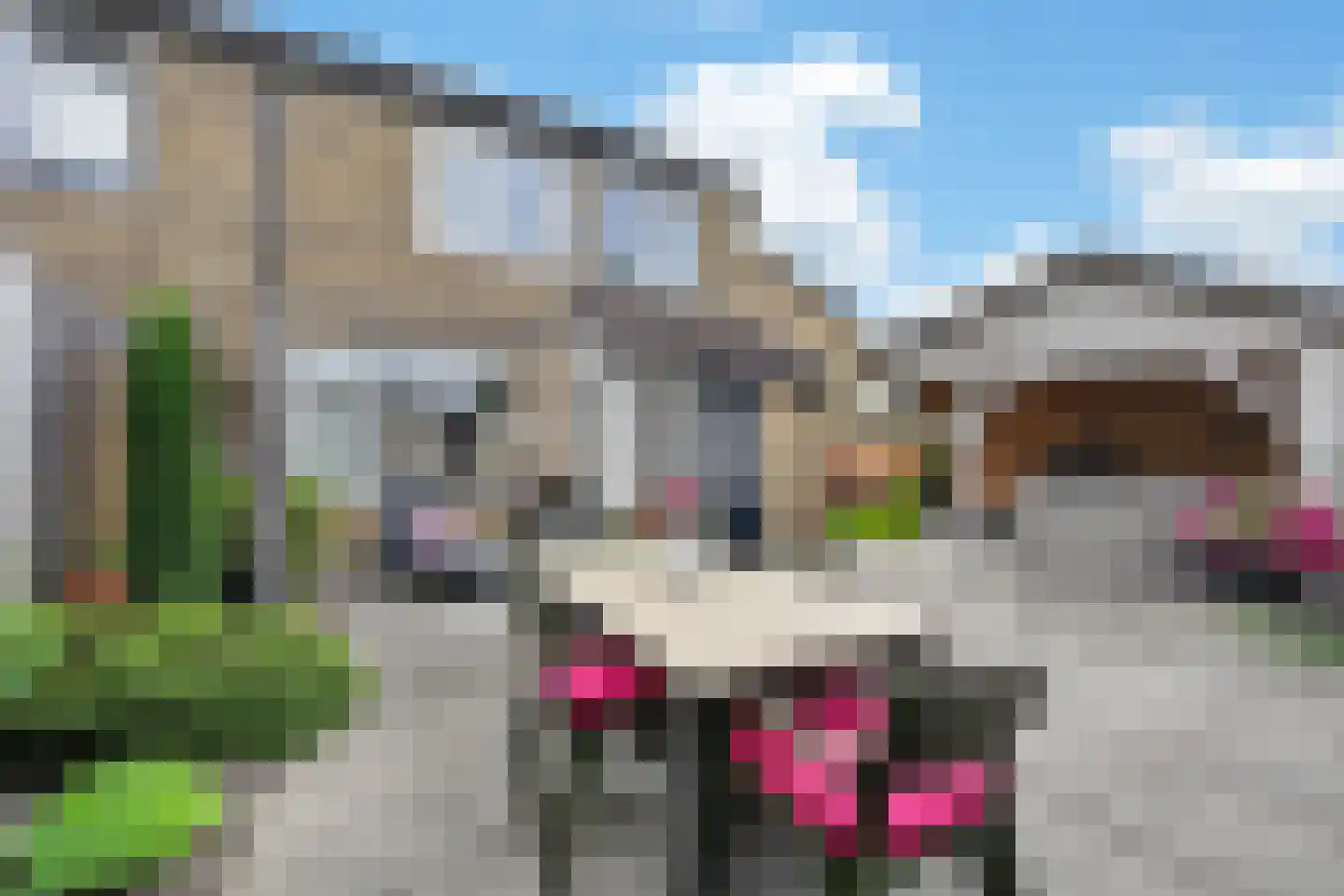 Uithof 17 Schoonebeek thumbnail 33
