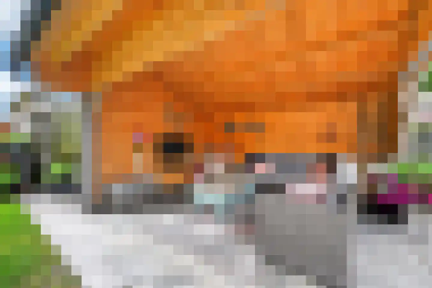 Uithof 17 Schoonebeek thumbnail 36