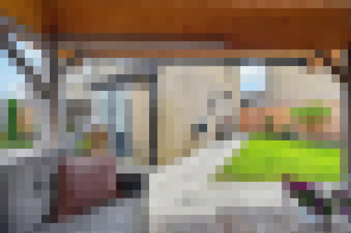 Uithof 17 Schoonebeek thumbnail 37