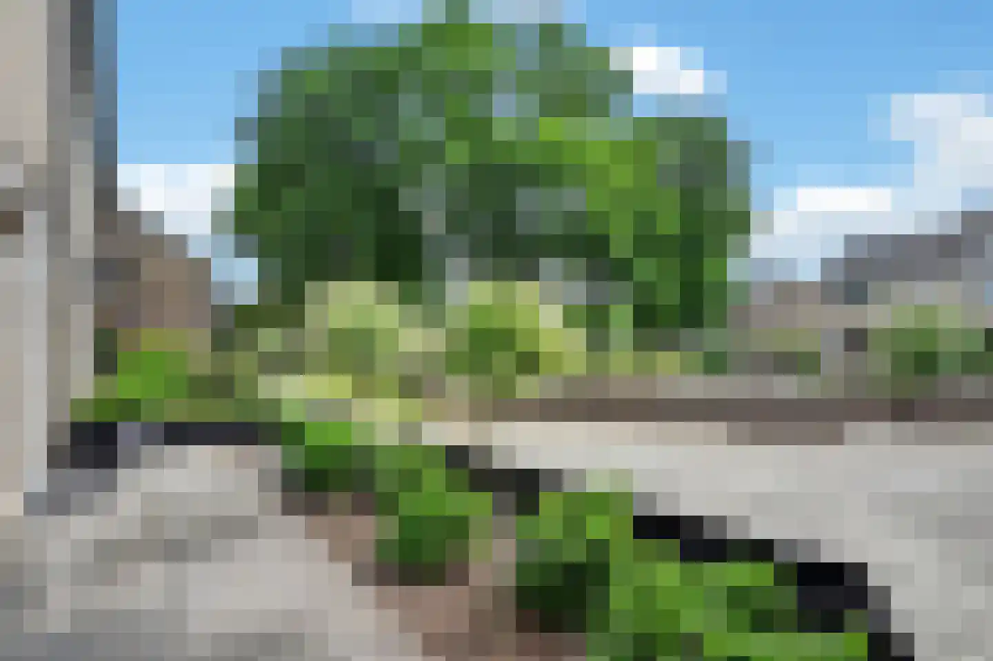 Uithof 17 Schoonebeek thumbnail 39