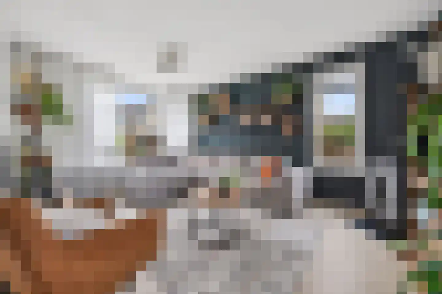 Uithof 17 Schoonebeek thumbnail 4