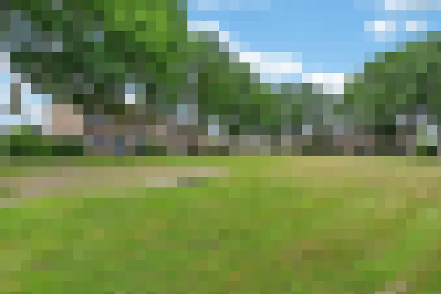 Uithof 17 Schoonebeek thumbnail 45