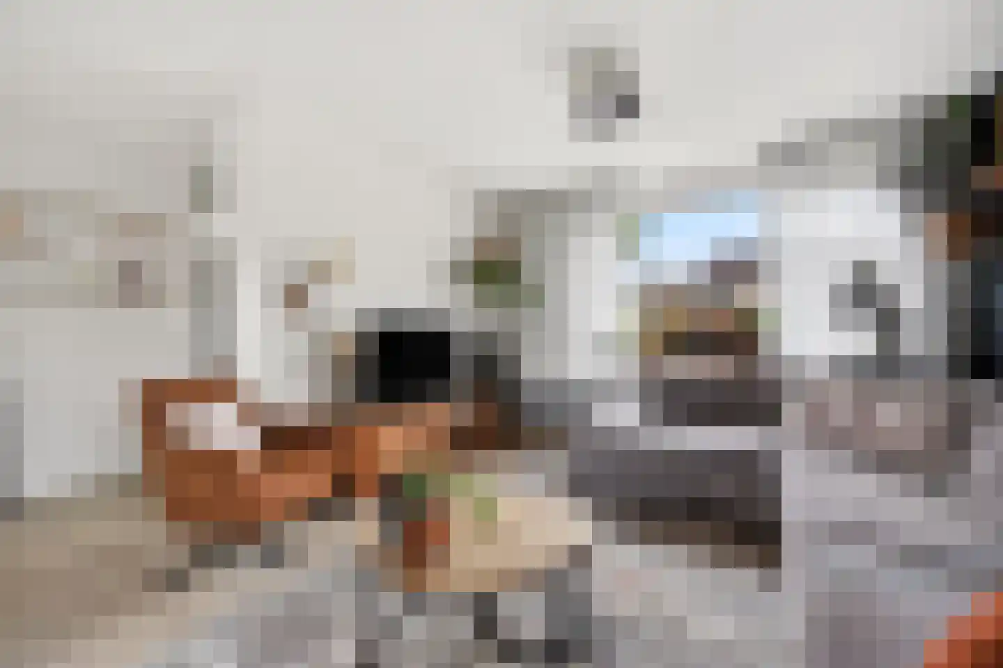 Uithof 17 Schoonebeek thumbnail 7