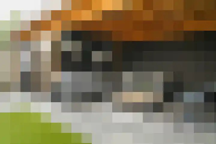 Uithof 20 Wijk en Aalburg thumbnail 37
