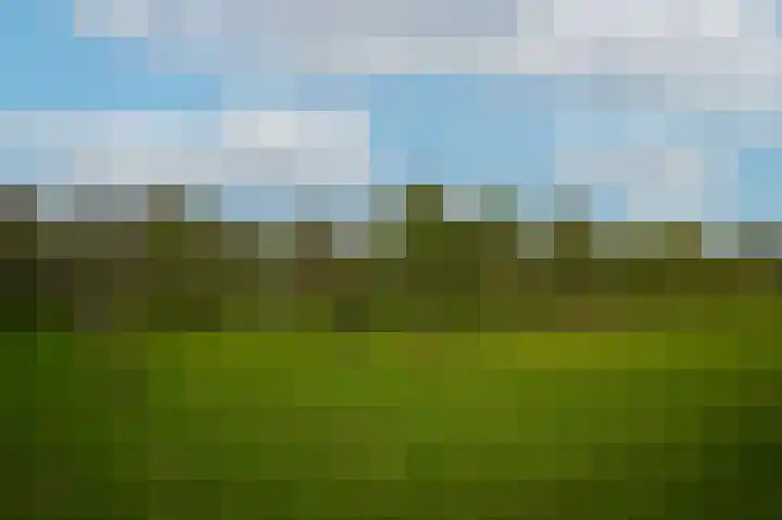 Uithof 20 Wijk en Aalburg thumbnail 47