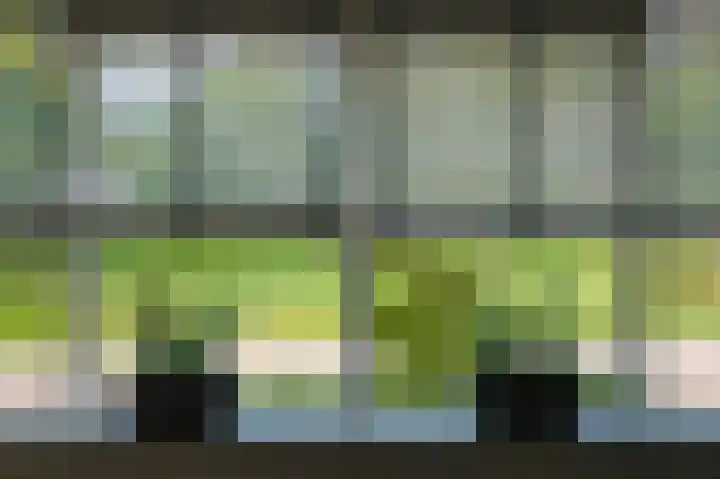 Uithof 20 Wijk en Aalburg thumbnail 8