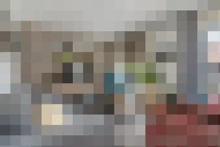 Uithof 6 Hedel thumbnail 12