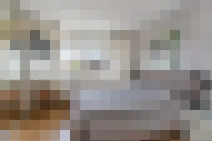 Uithof 6 Hedel thumbnail 16