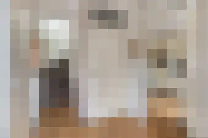 Uithof 6 Hedel thumbnail 6