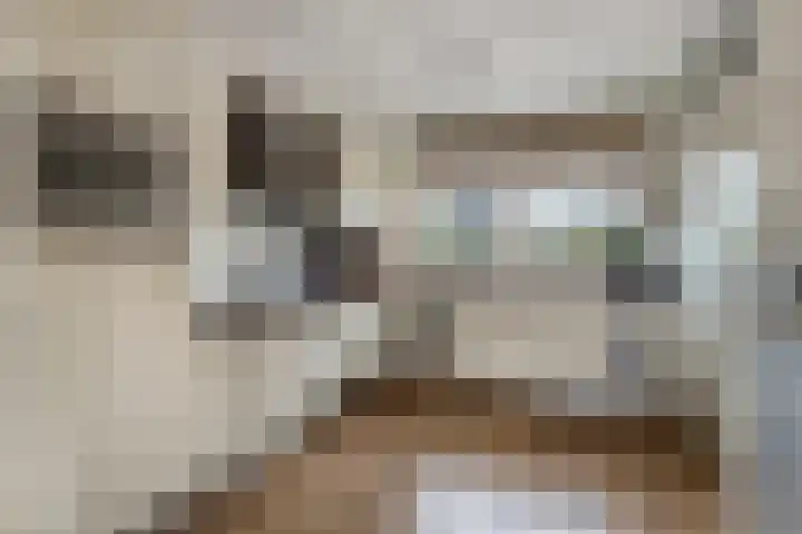 Uithof 6 Hedel thumbnail 8