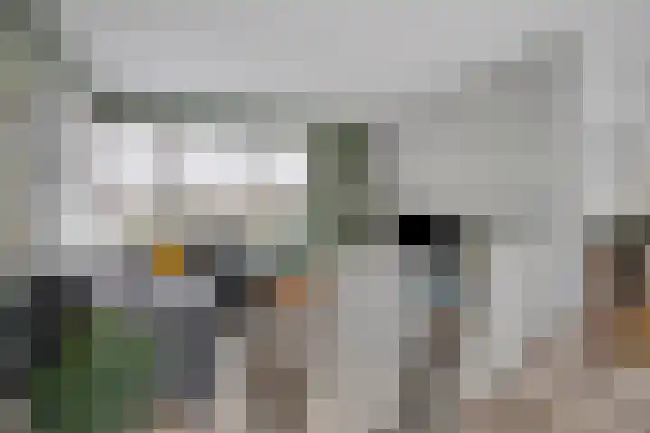 Uithof 6 Kloosterzande thumbnail 12
