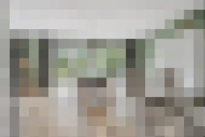 Uithof 6 Kloosterzande thumbnail 13