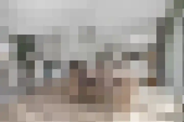 Uithof 6 Kloosterzande thumbnail 15