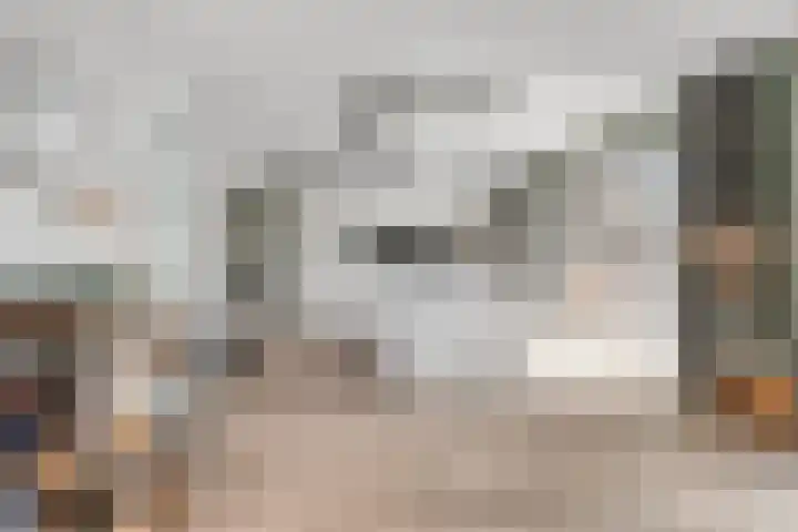 Uithof 6 Kloosterzande thumbnail 16