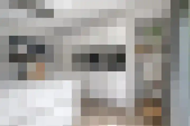 Uithof 6 Kloosterzande thumbnail 20