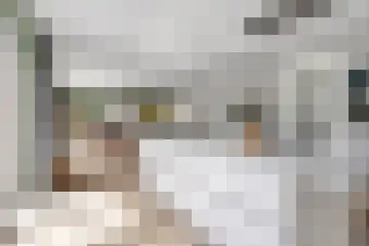 Uithof 6 Kloosterzande thumbnail 21