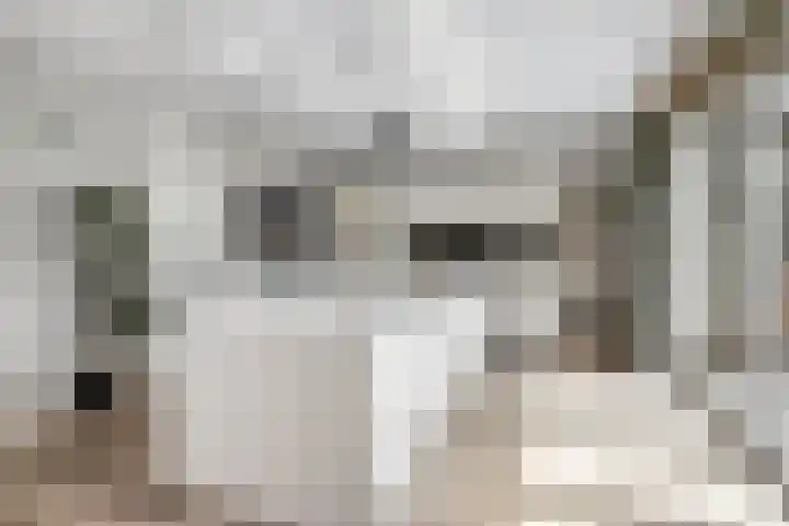 Uithof 6 Kloosterzande foto 3
