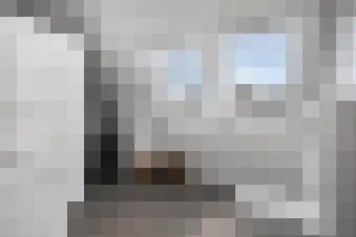 Uithof 6 Kloosterzande thumbnail 33