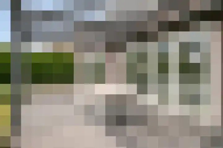 Uithof 6 Kloosterzande thumbnail 42